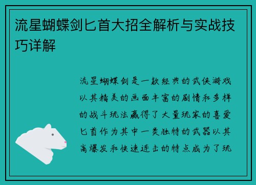 流星蝴蝶剑匕首大招全解析与实战技巧详解